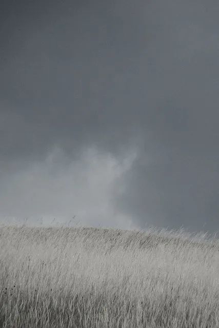 正如莫兰迪色系里灰调的平静温度,还有俳句里的"冬灰"和莫奈的暖灰色