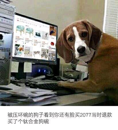 笑到捶桌狗都不玩的沙雕图比赛博朋克2077还要火