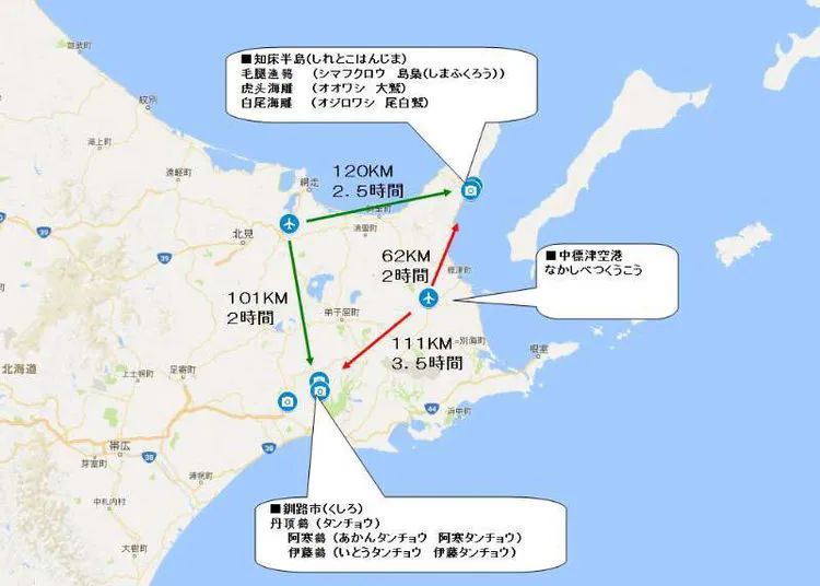 在冰雪覆盖下北海道宽广的原野上 遭遇赤狐 腾讯新闻