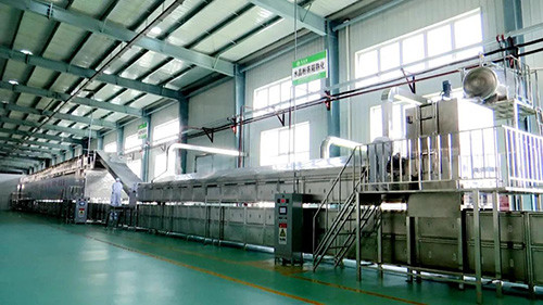 粉丝生产线车间在干净明亮的生产车间里,这一条自动化的水晶粉丝生产