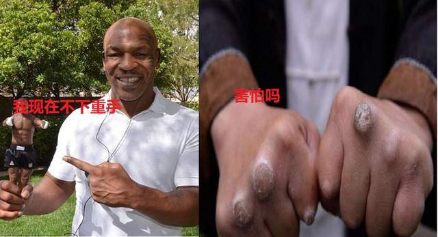 青城派何道君大师的机会来了|何道君|泰森|大师|拳击