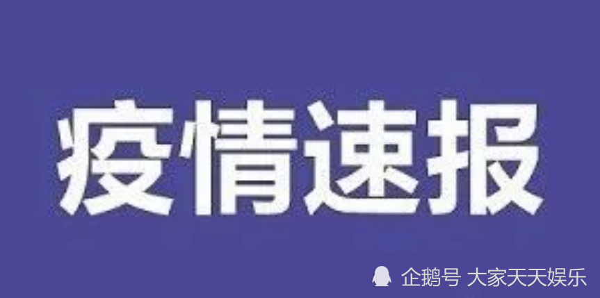 31省区市新增确诊15例 含本土6例-WordPress极简博客