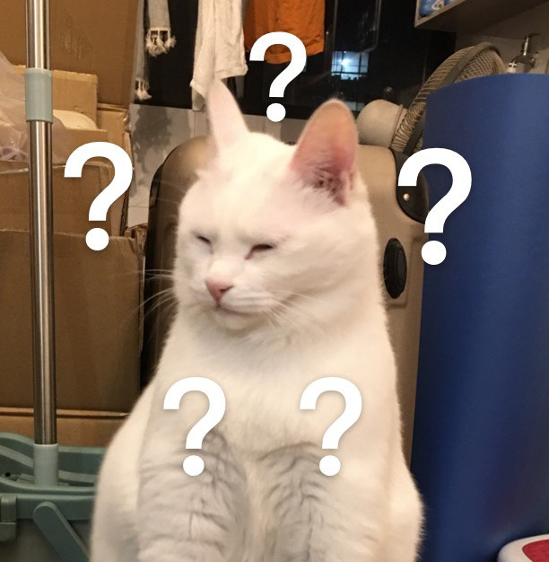 萌宠表情包:感觉身体被掏空!