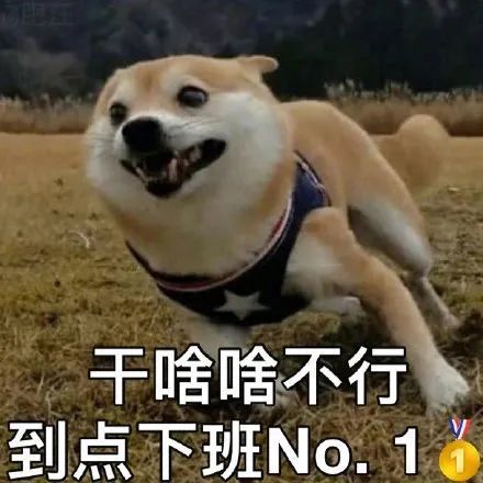 萌寵表情包乾啥啥不行到點下班no1