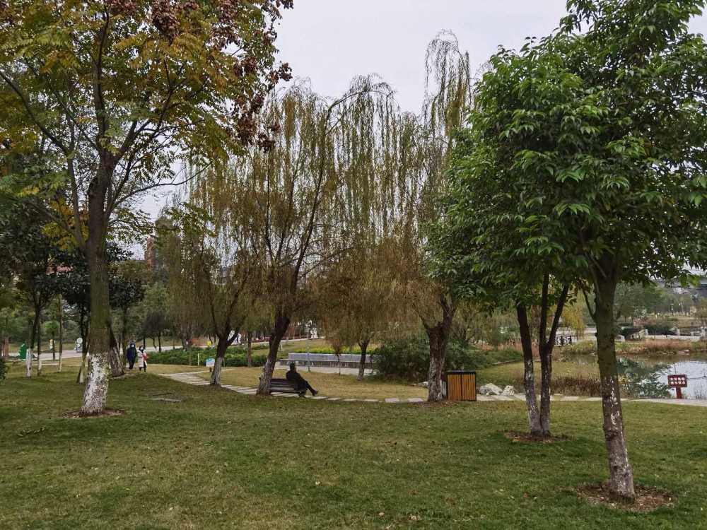 走去苏洵公园自己给自己来个免费体检