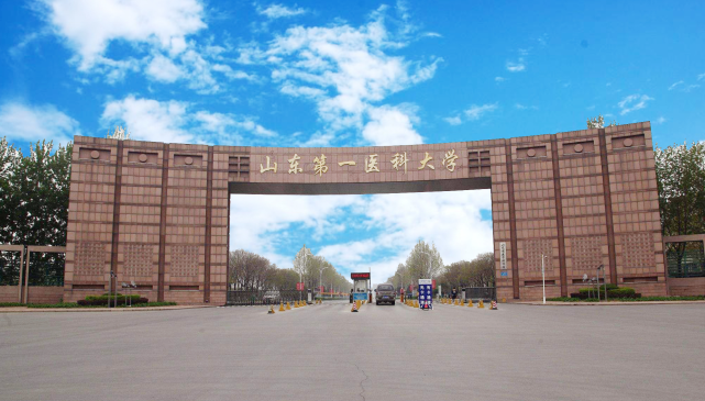 辅导员|山东|大学|山东第一医科大学
