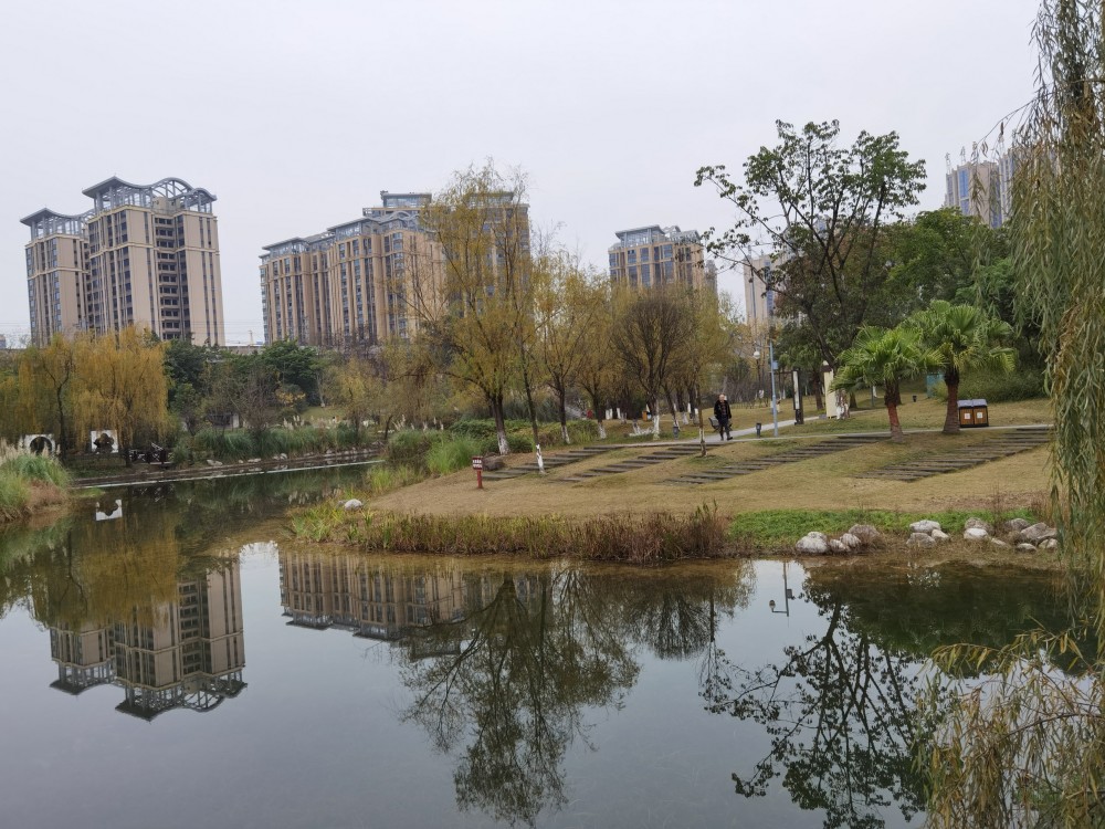 走去苏洵公园自己给自己来个免费体检