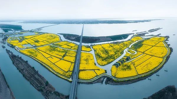 连淮扬镇铁路今日全线开通一路上的美景美食千万别错过