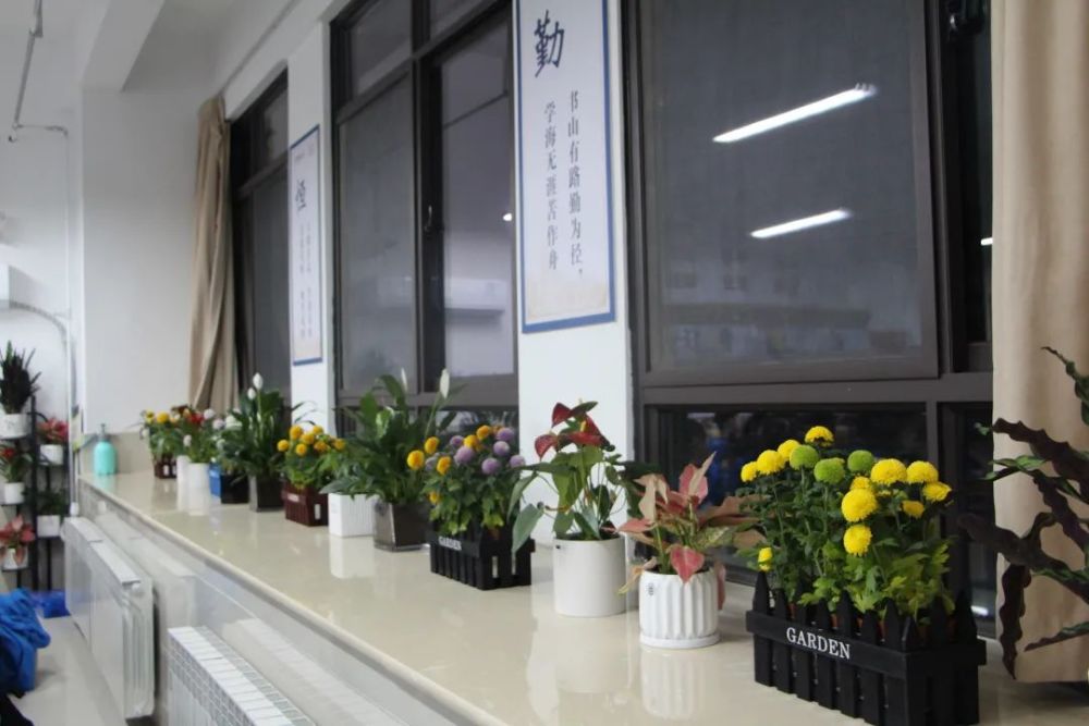 文化是校园文化的重要组成部分,也是形成集体凝聚力和良好班风的载体