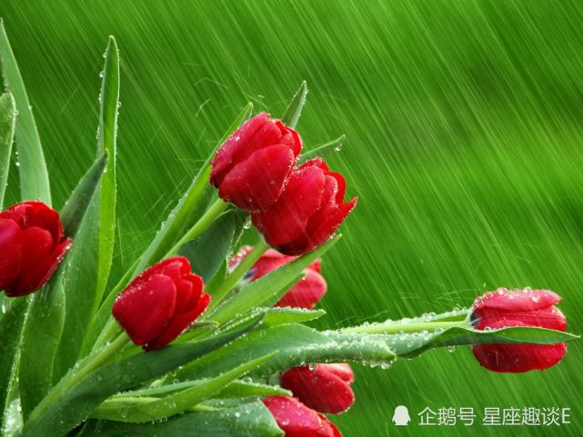 12月12日星座运势 喜上眉梢 节节攀升的四大星座 白羊座 异性缘 天蝎座 星座运势 星座 双鱼座