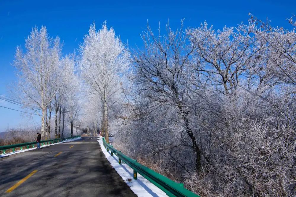 咸阳市旬邑县马栏山雾凇宛如琼树银花
