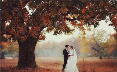 盘点七大姑八大姨的人生 我发现一个秘密 婚姻靠的根本不是爱情 二姨