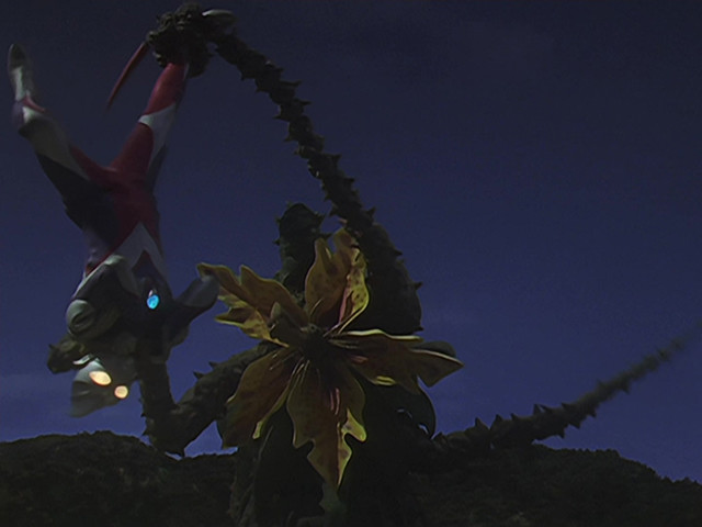 登场于迪迦奥特曼tv剧第45话,齐杰拉被称为"预言着人类灭亡而开出的花