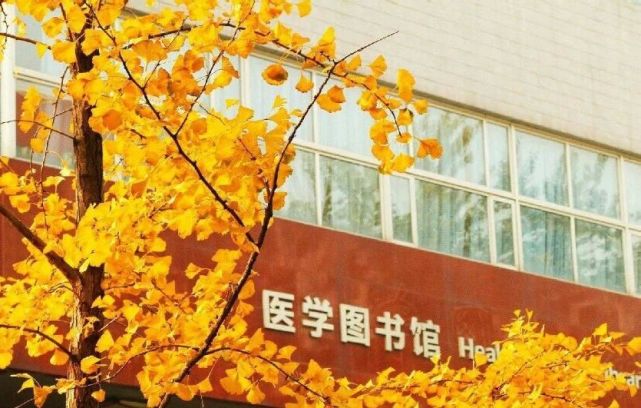 专科西安学校有哪些专业_西安专科学校有哪些_专科西安有哪些学校