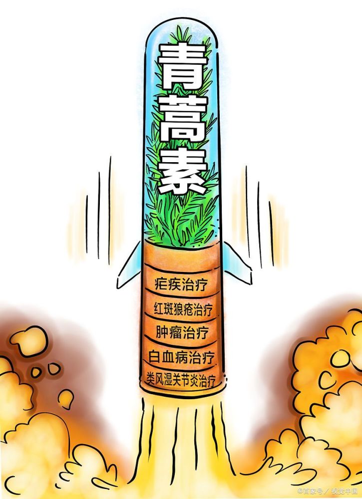 经过不懈努力,甚至以身试药,终于通过低温乙醚的方式提取出了青蒿素