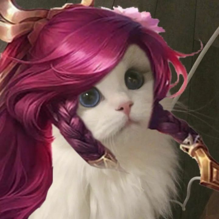 专属于王者玩家的猫咪开黑头像