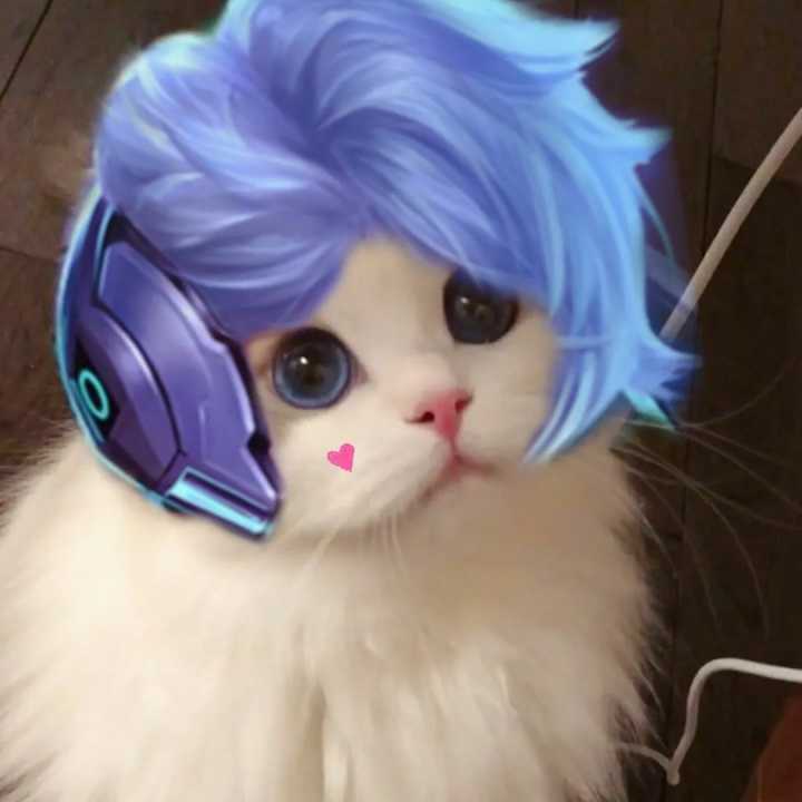 专属于王者玩家的猫咪开黑头像