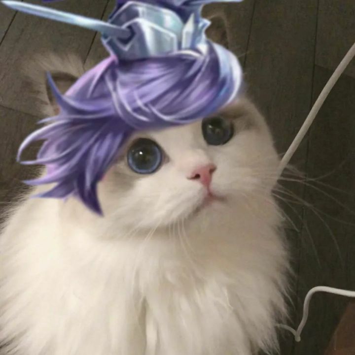 专属于王者玩家的猫咪开黑头像