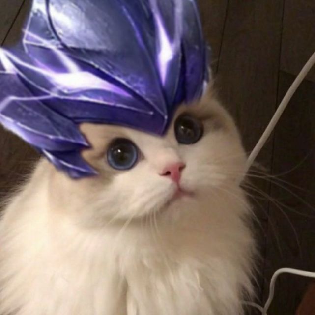 专属于王者玩家的猫咪开黑头像