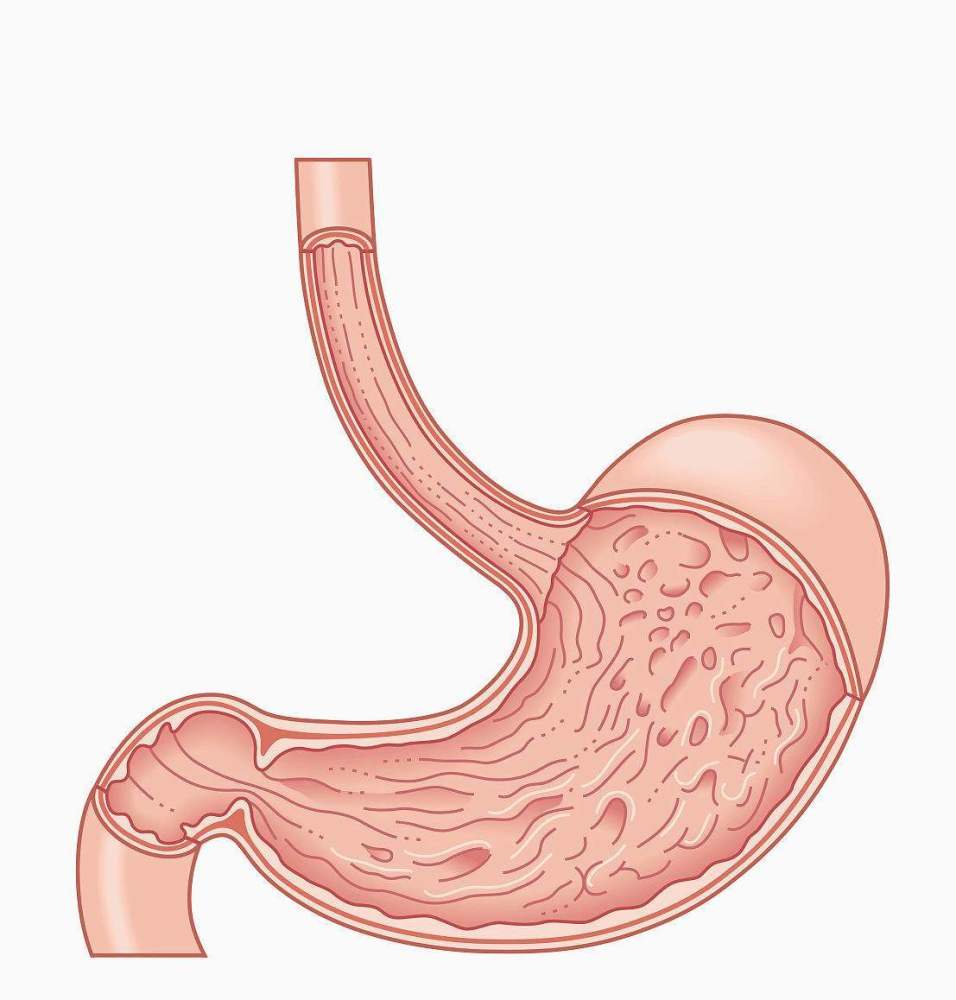 胃舒服的人,早起爱做3件事,常喝1杯水,促进胃消化,胃越来越好