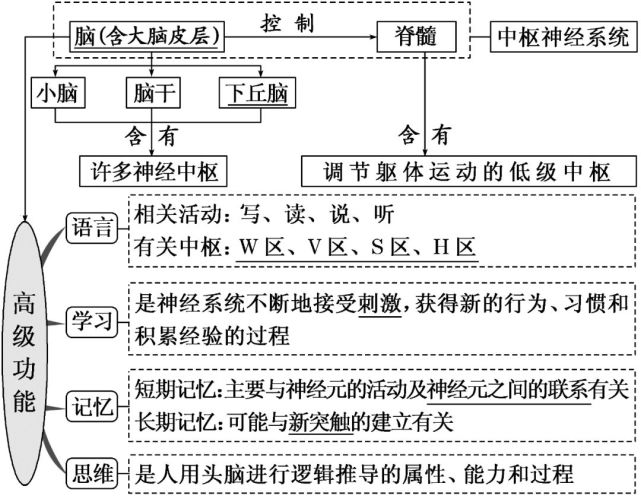 人教版高中生物学选修1《稳态与调节》全册微课精讲 考点 资料(文末