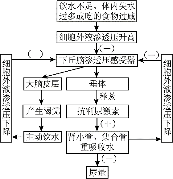 鹽平衡調節體溫調節過程中,下丘腦可以作為感受器,傳入神經,神經中樞