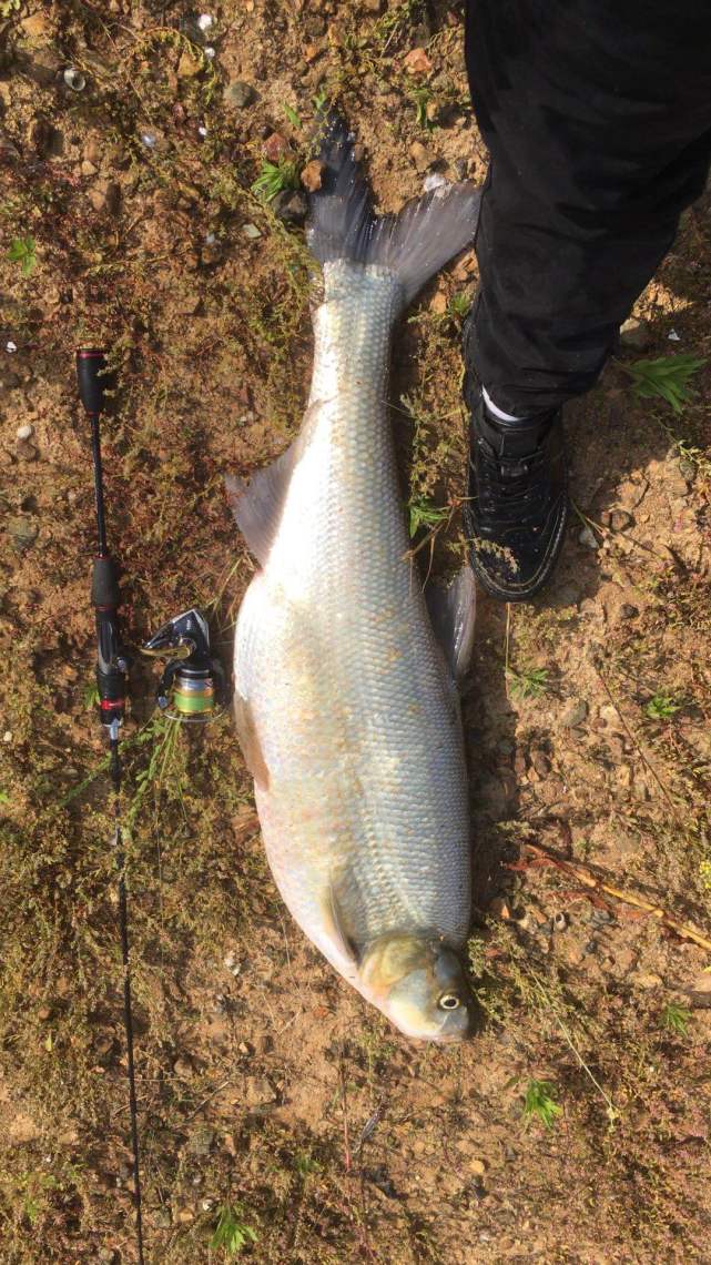 冬季淡水路亚的六个技巧