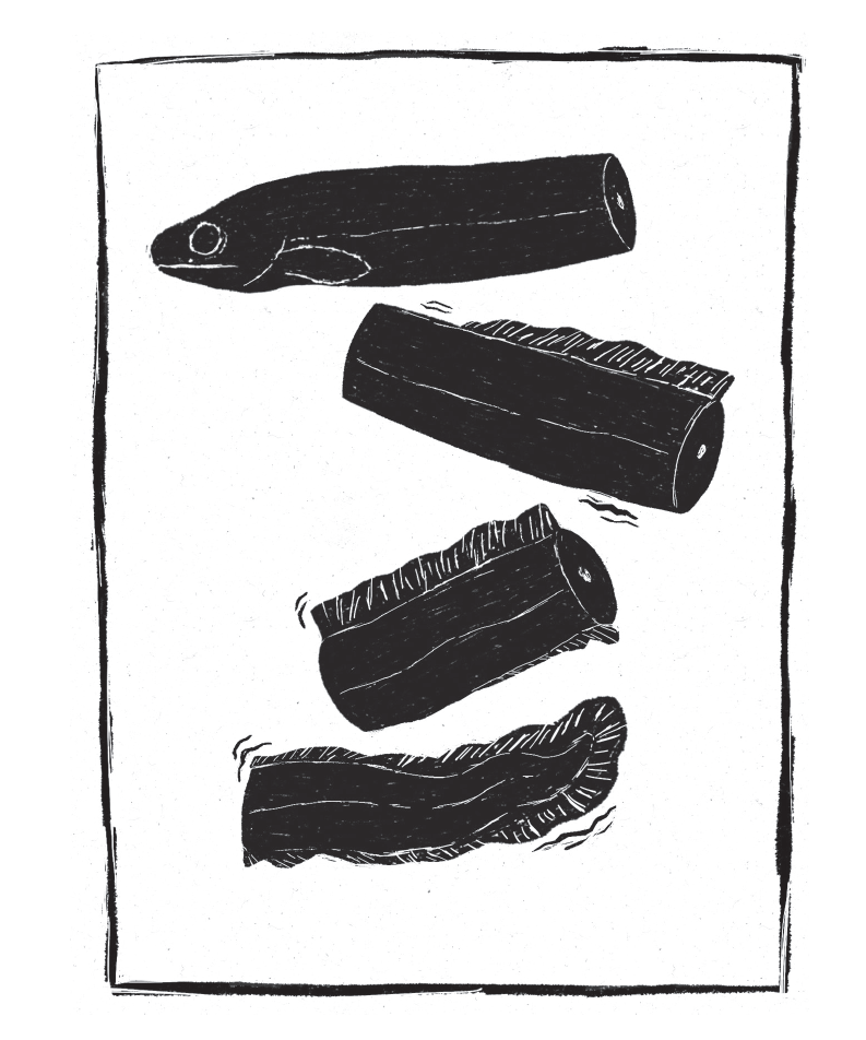 一条被困在井里的鳗鱼如何游回自己的出生之地