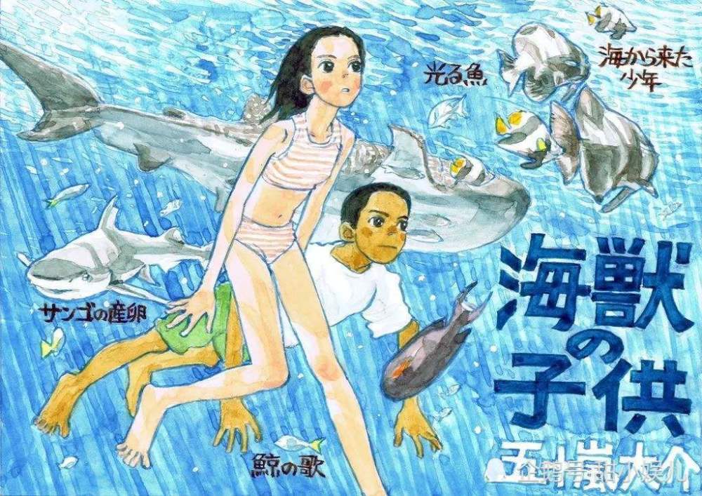 海兽之子置身大海感受生命的庆典唯美又浪漫