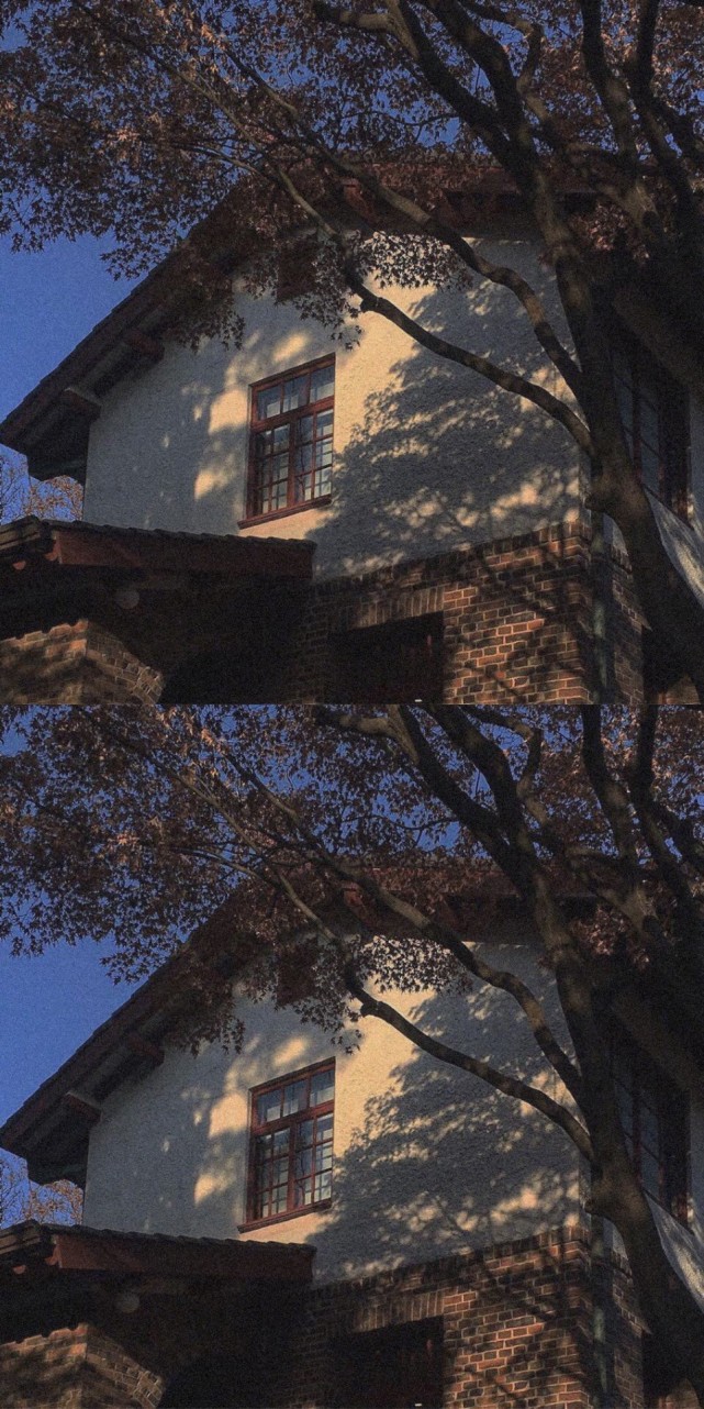 风景聊天壁纸 壁纸