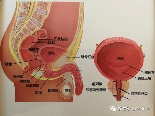 这种男人专利的癌,一旦患上,父子兄弟都要查!
