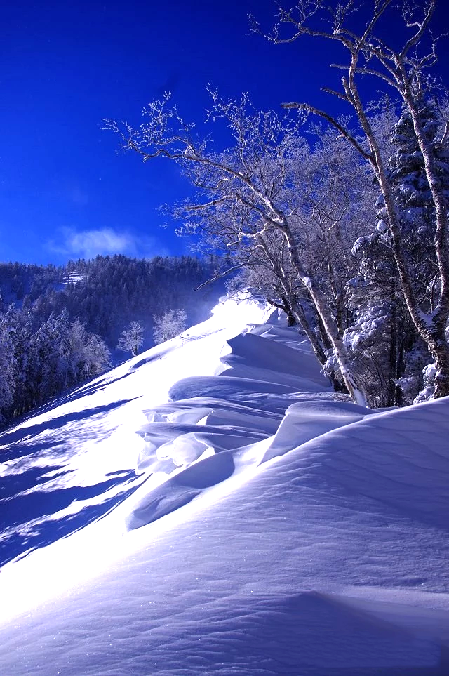 大美望天鵝東北第二高峰,給你最美的雪景