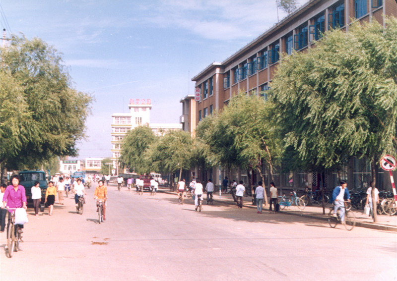 老照片记忆中的辽宁瓦房店这样的瓦房店你还记得吗