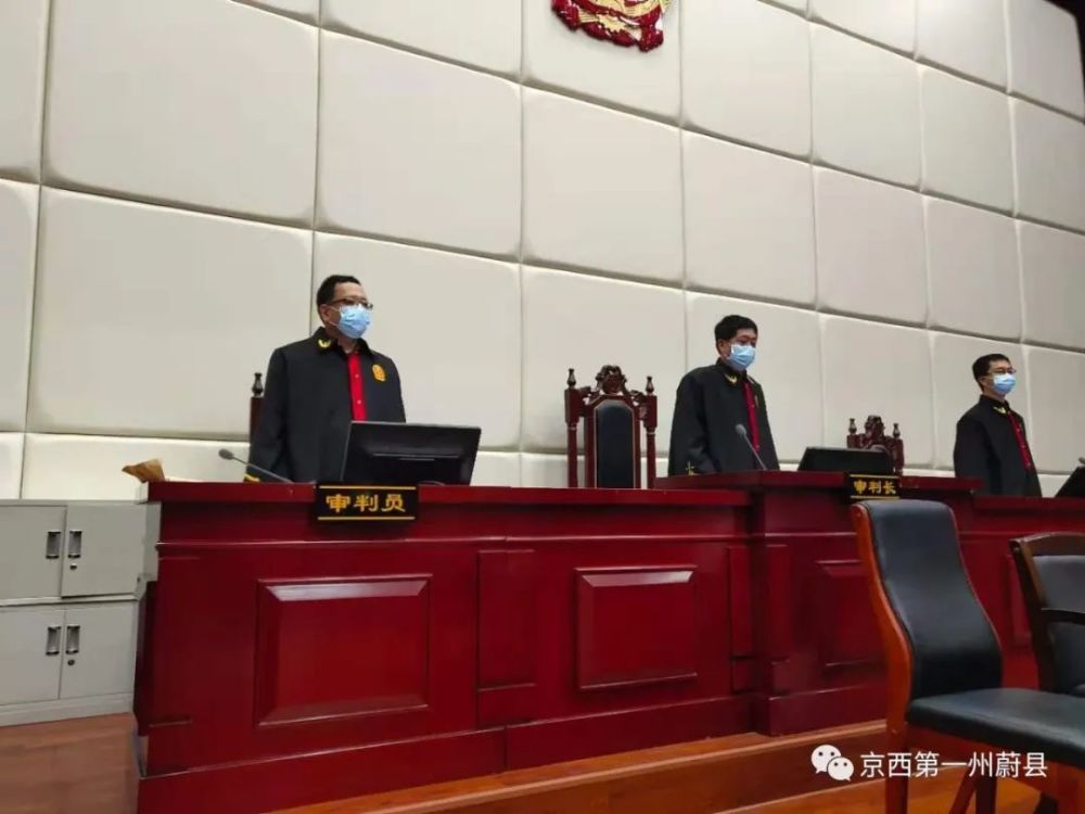 被告人张某等21人涉黑案件蔚县法院公开开庭审理2020年12月12日刘燕语