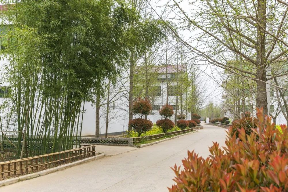 正式命名邳州这两个村成为全省示范