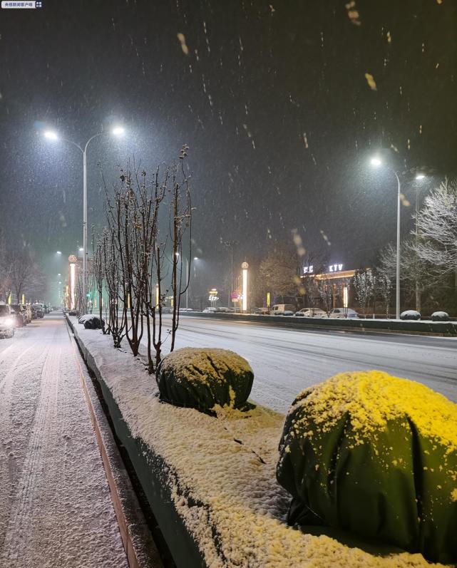 城市雪花飘飘图片图片