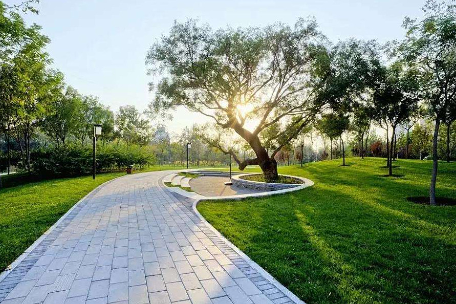 重庆将新添一地标 是中央公园的14倍 老外 这就是为啥嫉妒中国 腾讯新闻