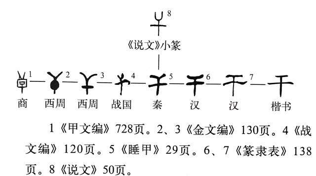 说文解字 第368课 干戈 中 戈是兵器 干 是啥 说文解字 汉字 繁体字 甲骨文 伐檀 老子