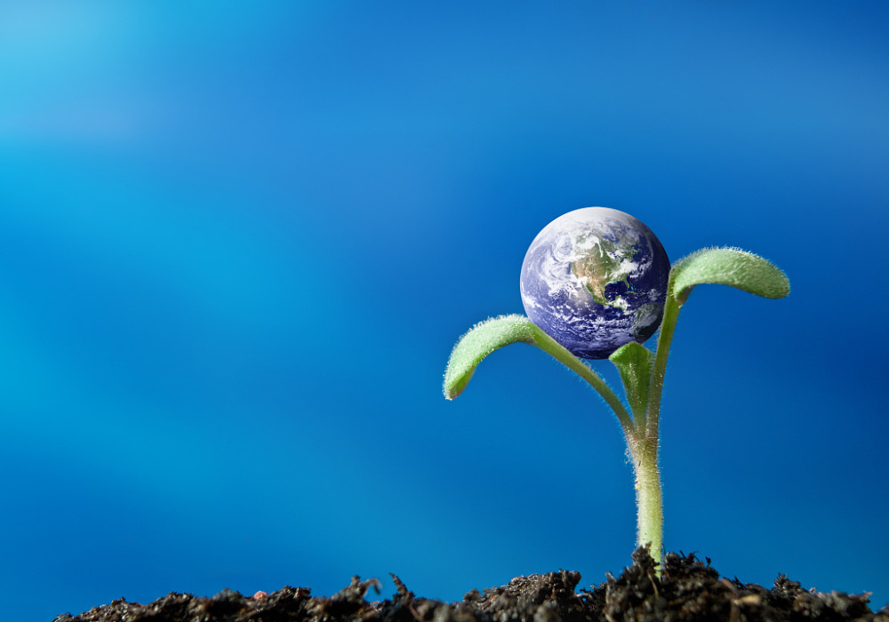 浅谈植物保护专业毕业生就业方向