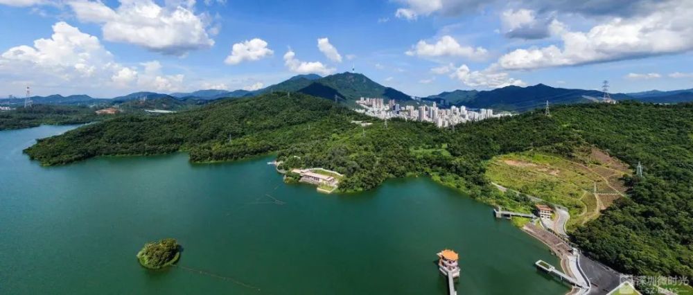 这是我见过,深圳最好看的一面