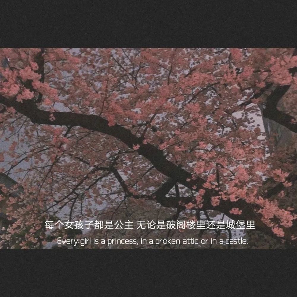 文案丨适合女孩子看的文案短句