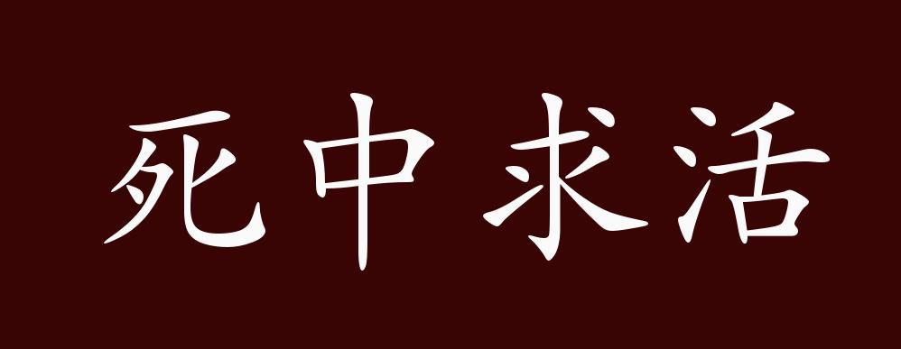 死中求活的出处,释义,典故,近反义词及例句用法-成语知识
