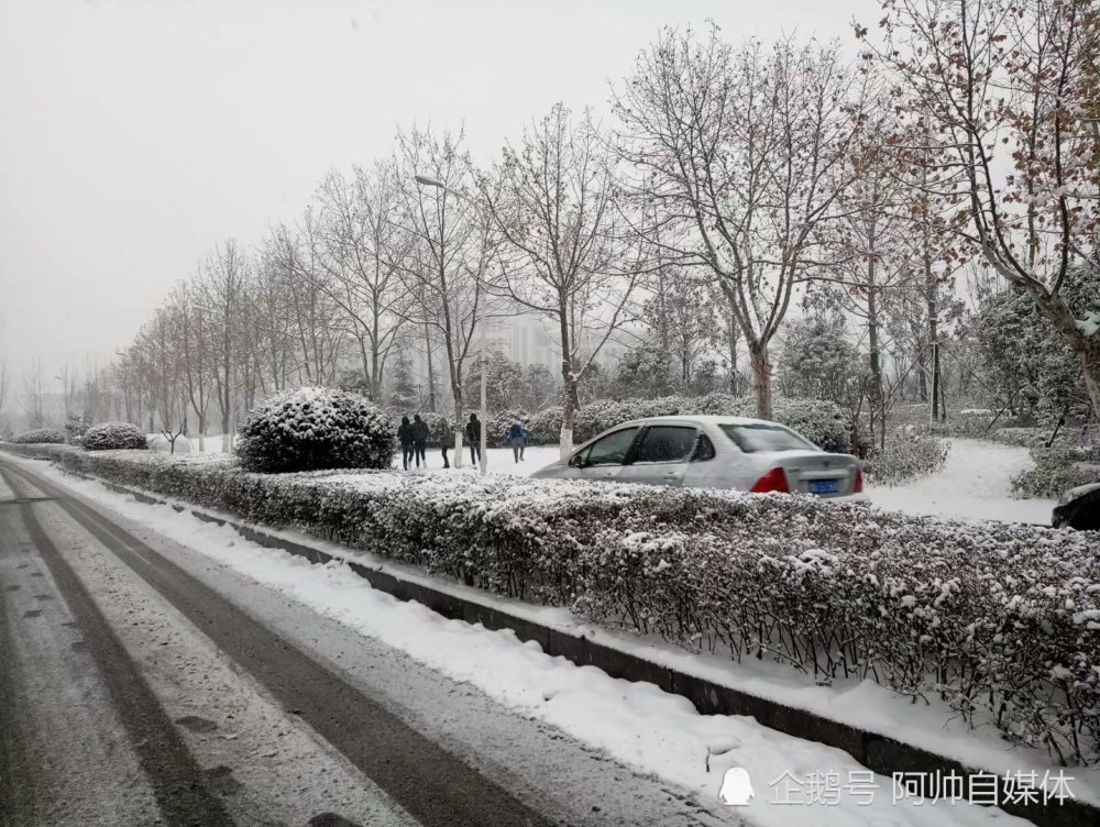 冬日情思寒风瑟瑟