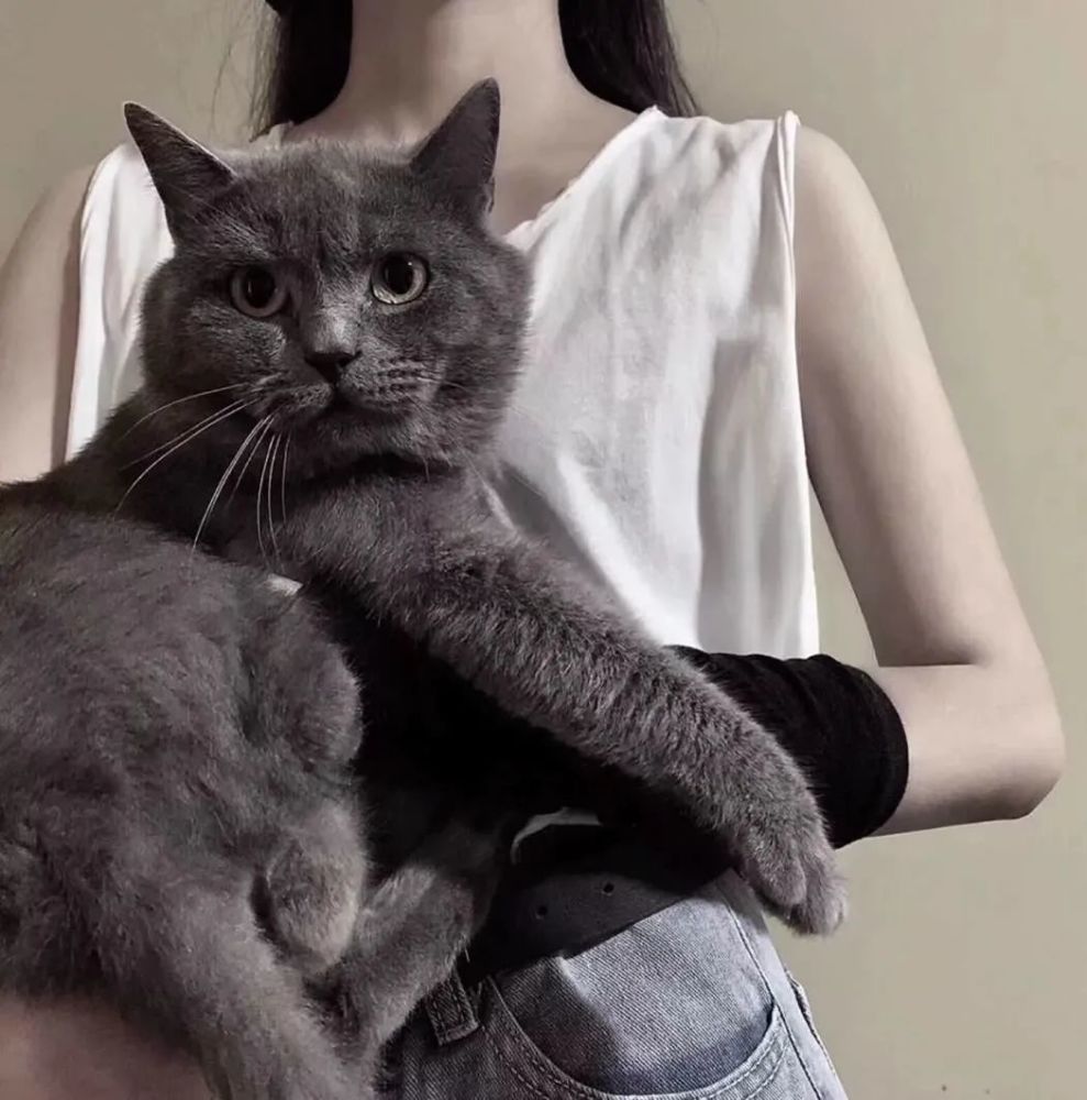 猫系女头抱猫的女孩
