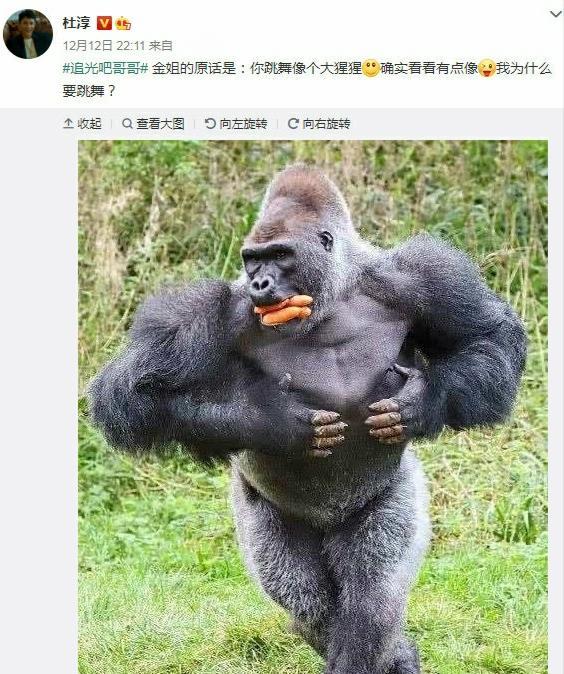 金星说杜淳跳舞像大猩猩动作搞笑尴尬自嘲我为什么要跳舞