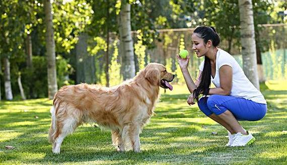 为什么女生都喜欢养"大型犬"?这6个原因,让人无法拒绝
