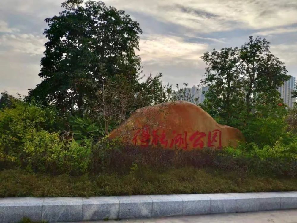 初冬,得能湖公园的白天与黑夜!_腾讯新闻