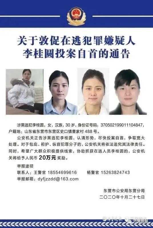 起底东营90后涉黑女头目李桂圆被称拼命三娘因100元赌气辍学