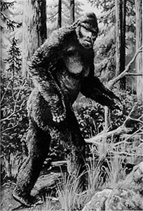 一代中国奇人倾家荡产找野人野人没找到自己却成了野人