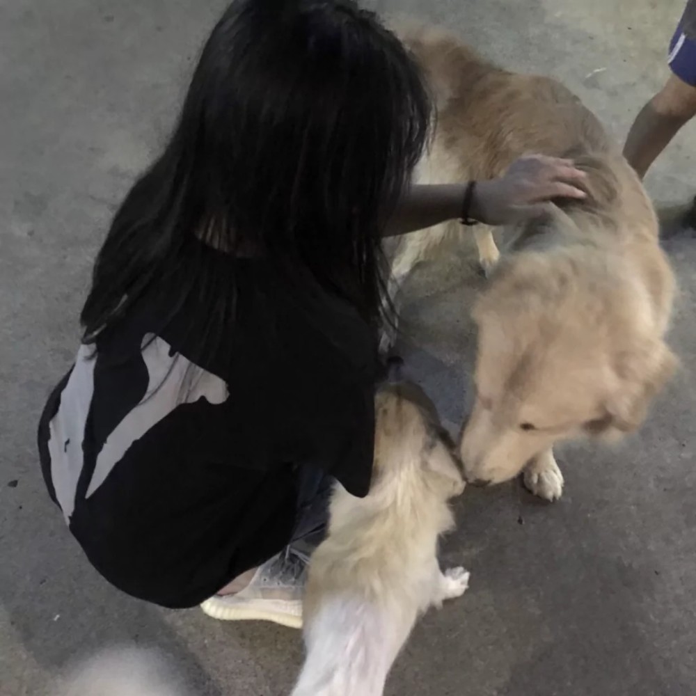 不露脸女生头像/你是我心甘情愿的一场遗憾